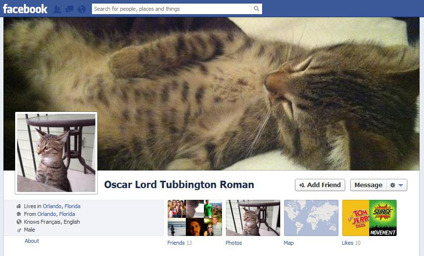 Controllare le informazioni personali Un trucco per riconoscere un account fake di Facebook? Un check sulle sue informazioni personali