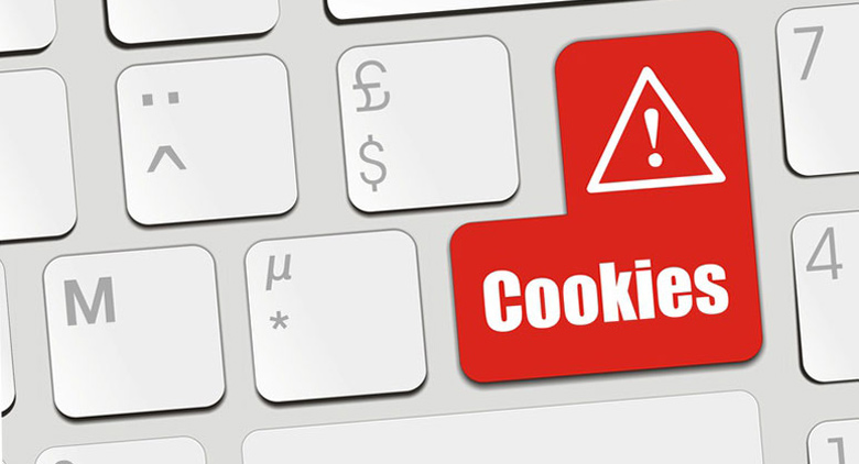 note legali di un e-commerce e cookies