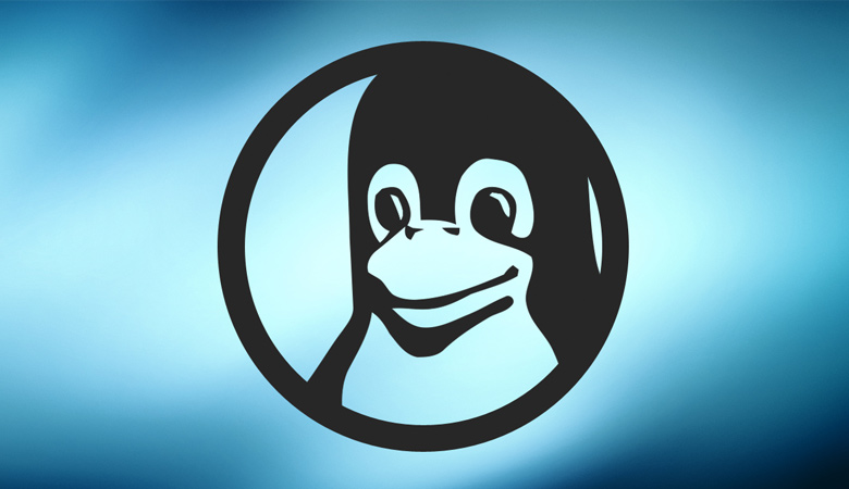 Installazione programmi per mettere in sicurezza un server Linux